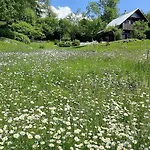 Pocitniska Hisa Eros * Bohinj