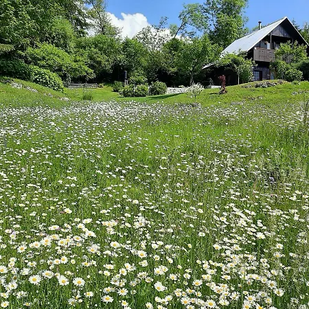 Pocitniska Hisa Eros * Bohinj