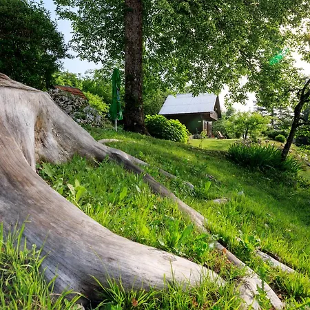 Pocitniska Hisa Eros * Bohinj