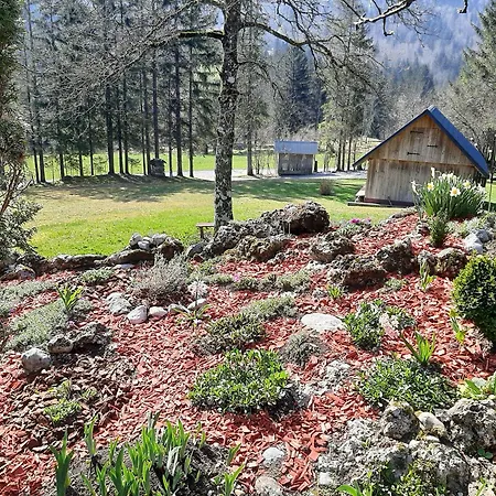 Pocitniska Hisa Eros *