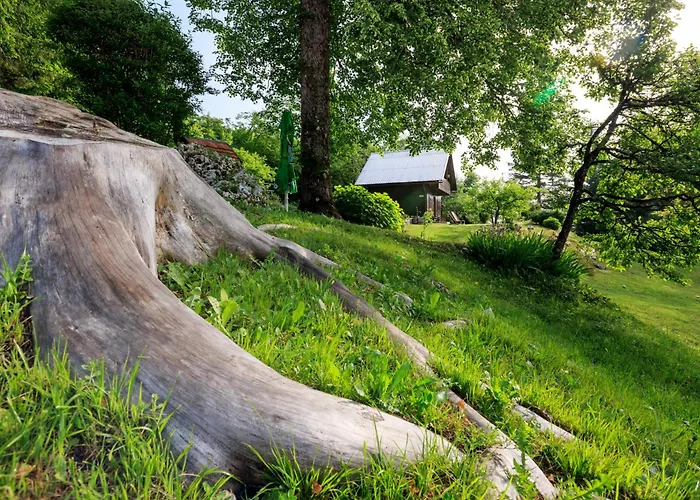 Pocitniska Hisa Eros * Bohinj